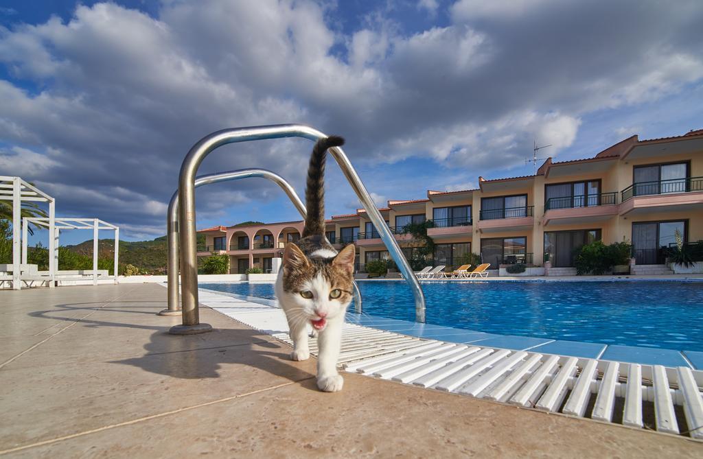 Toroni Blue Sea Hotel מראה חיצוני תמונה